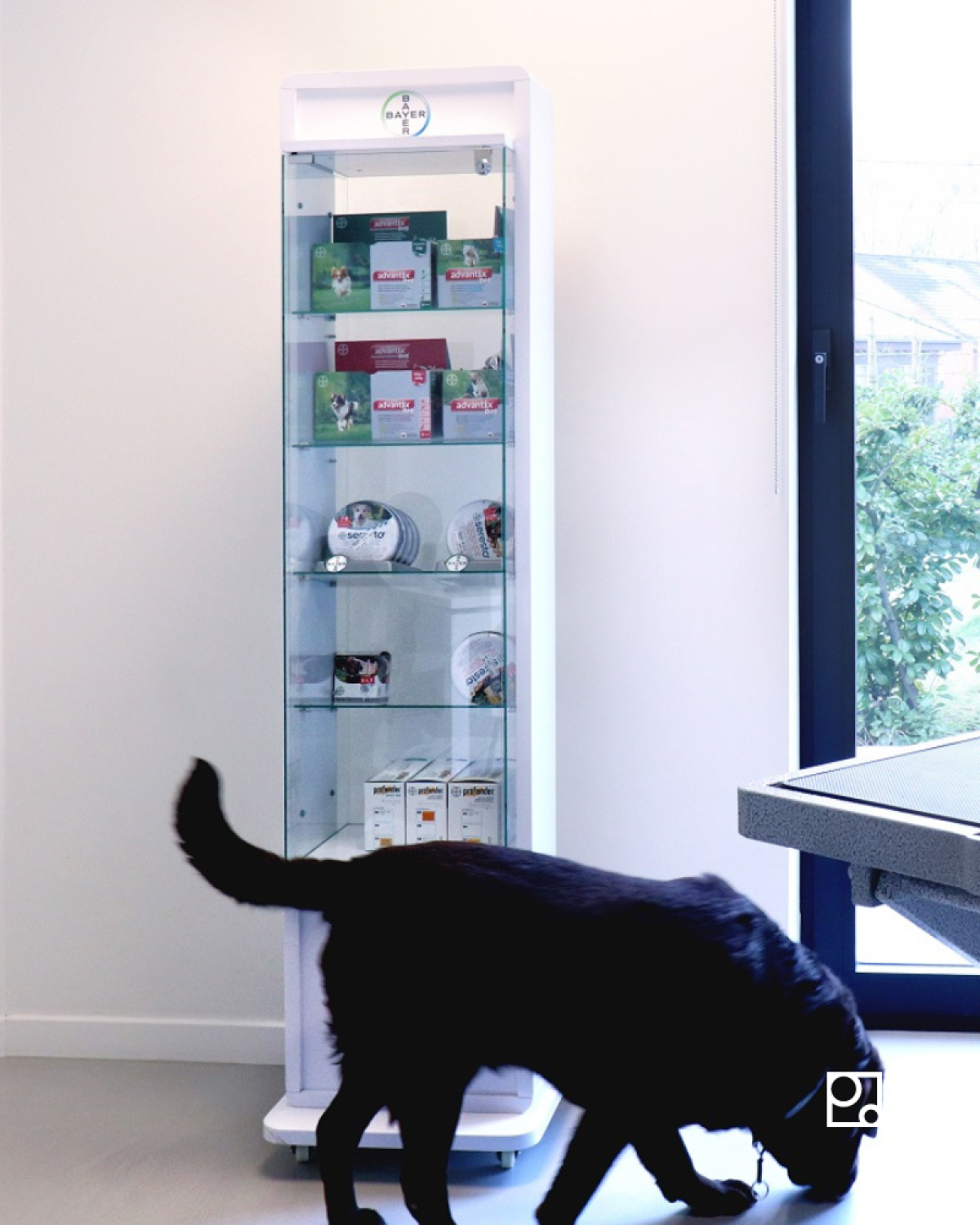 Bayer Animal Health