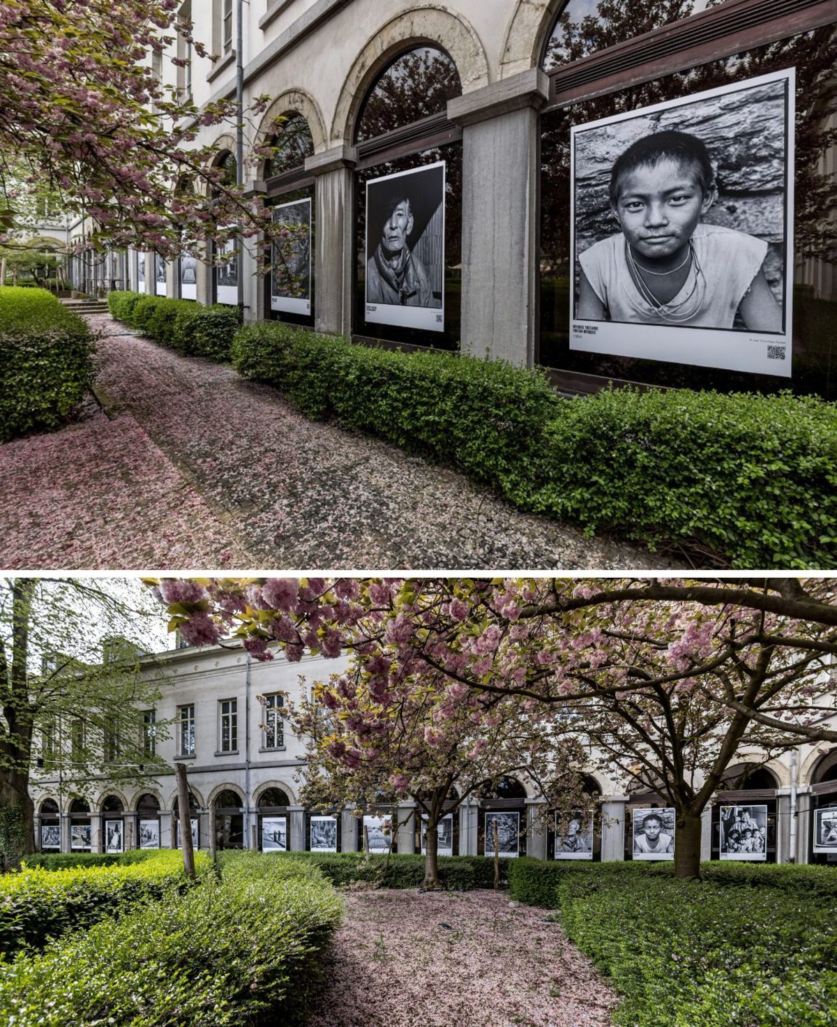 The ALPARA art gallery and Delvoyeurs