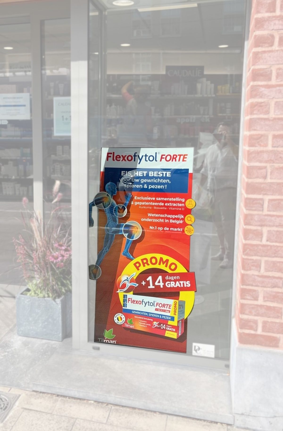 Flexofytol POS kit (Tilman)