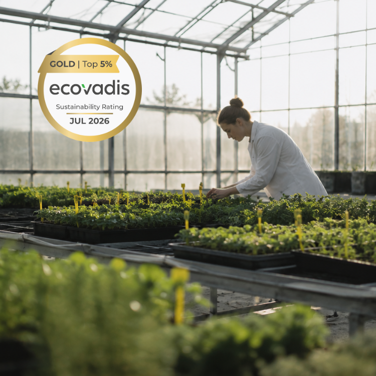 POP Solutions bevestigt haar MVO-engagement door haar EcoVadis Gold-medaille te vernieuwen in 2026